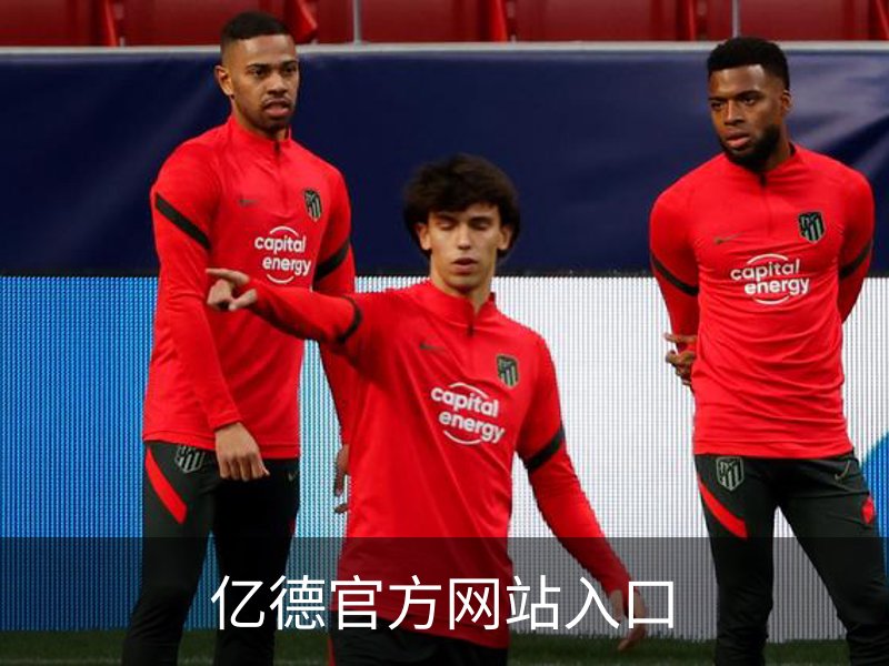 亿德官方网站入口介绍